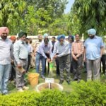 ਪੀਐਸਪੀਸੀਐਲ ਸੀਐਮਡੀ ਵੱਲੋਂ ਬੂਟੇ ਲਗਾਏ: ਵਾਤਾਵਰਣ ਸੰਤੁਲਨ ਨੂੰ ਯਕੀਨੀ ਬਣਾਉਣ ਲਈ ਵੱਧ ਤੋਂ ਵੱਧ ਰੁੱਖ ਲਗਾਉਣ ਦੀ ਅਪੀਲ